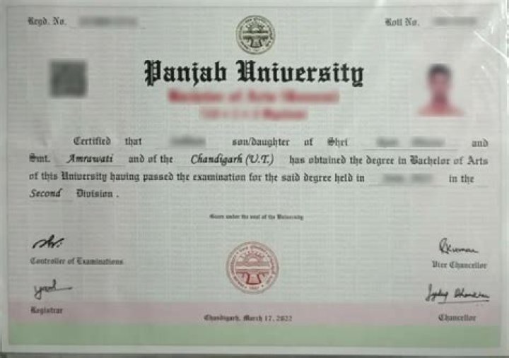 Does Punjab university offer distance education?