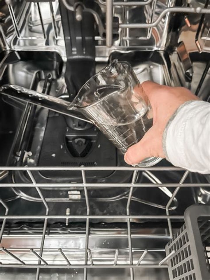 Should I put vinegar in my dishwasher?
