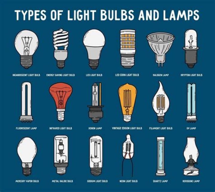 What are circle bulbs called?