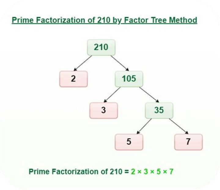 What are prime factorization trees?