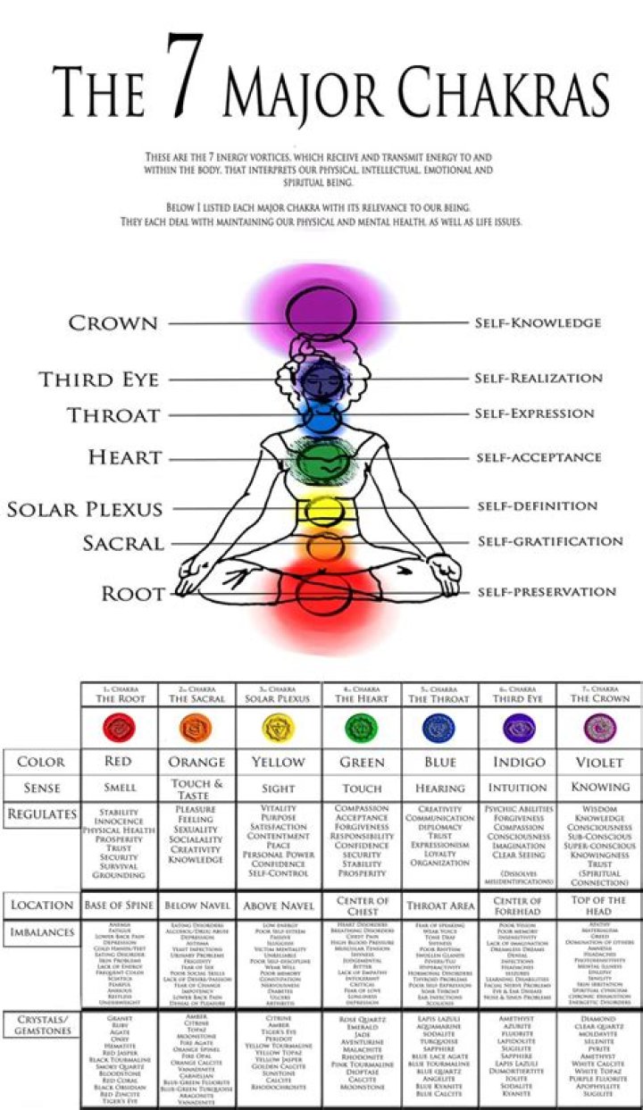 What are the 7 major ages?