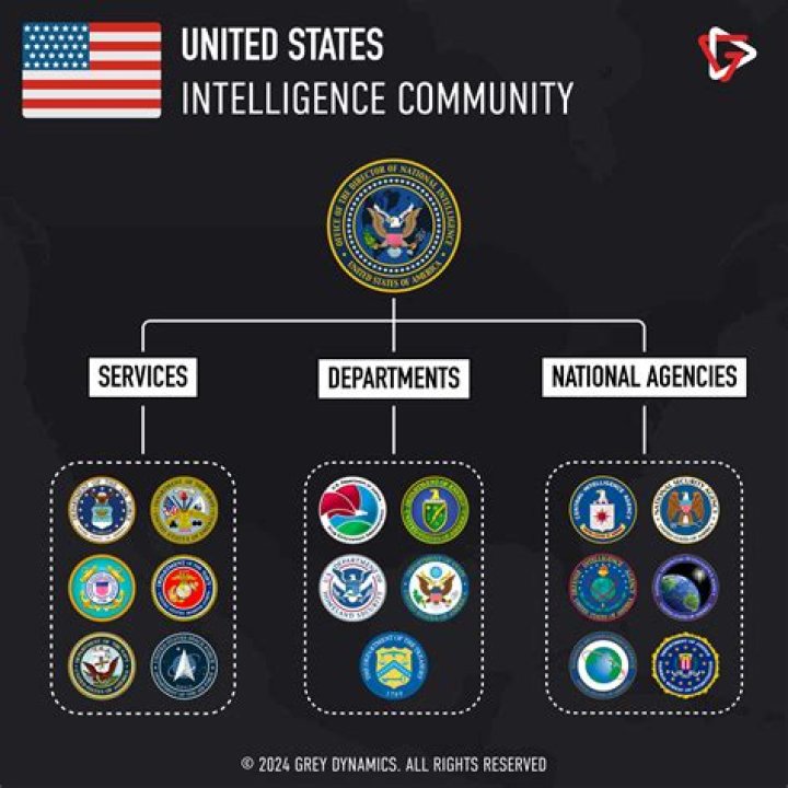 What does counterintelligence agent do?