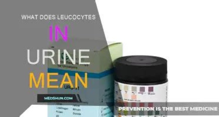 What does leukocytes and nitrates in urine mean?