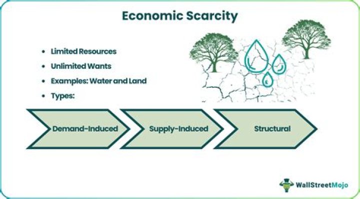What is the use of economic resources?