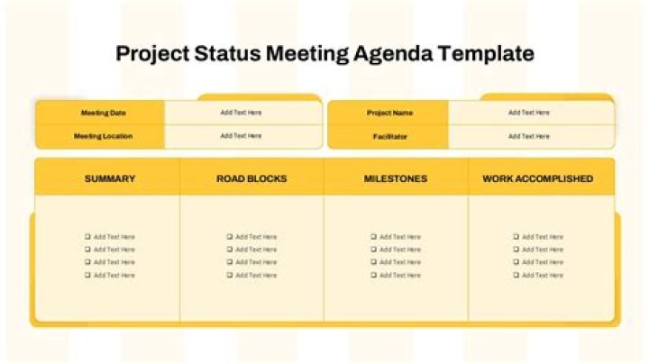 What should be covered in a project status meeting?